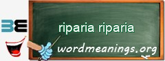 WordMeaning blackboard for riparia riparia